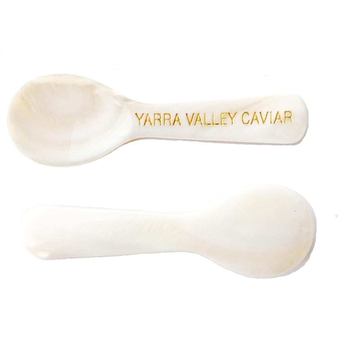 Mother of Pearl Spoon