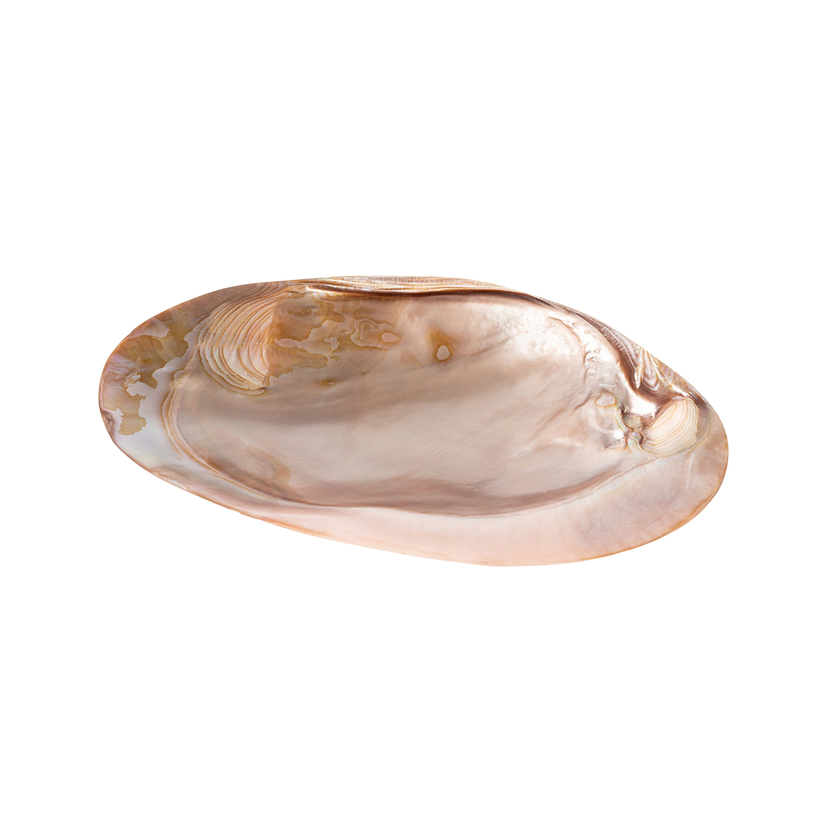 Mother of Pearl Plates - Brown