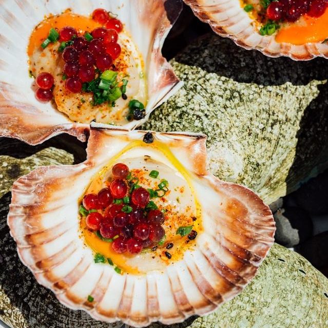 Pickled Scallops, Japanese pepper & Bloody Shiraz Gin Caviar