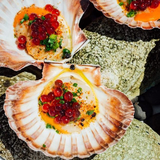Pickled Scallops, Japanese pepper & Bloody Shiraz Gin Caviar
