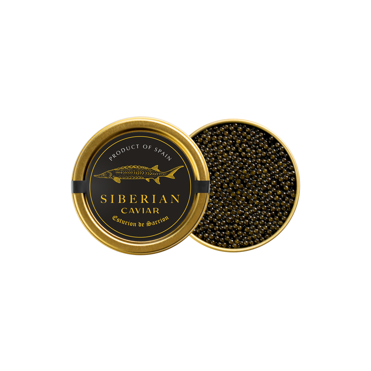 Esturion de Sarrion Baerii Siberian Reserve