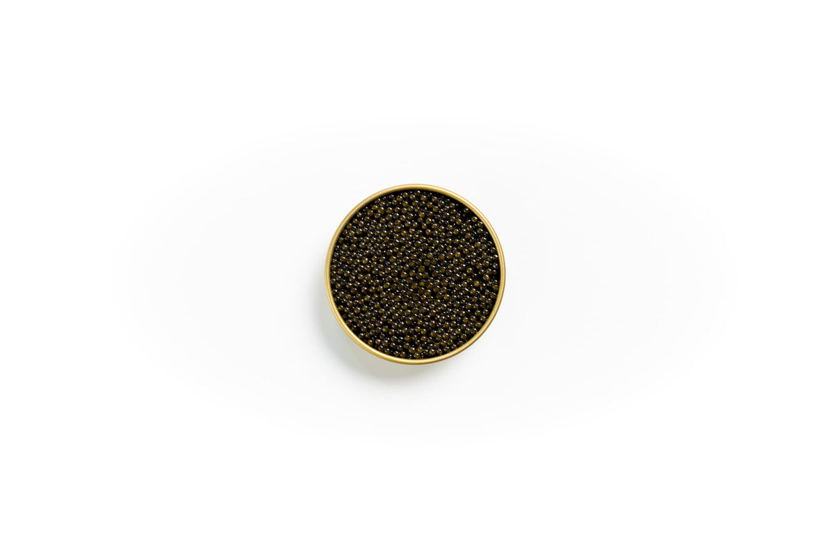 Panchenko Oscietra Caviar