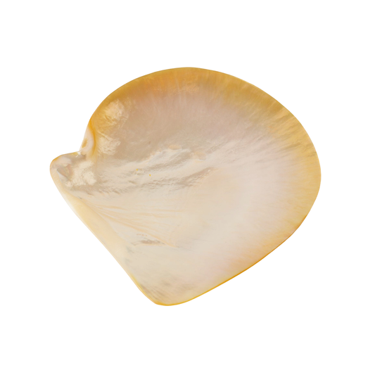 Mother of Pearl Serving Plate – White Shell
