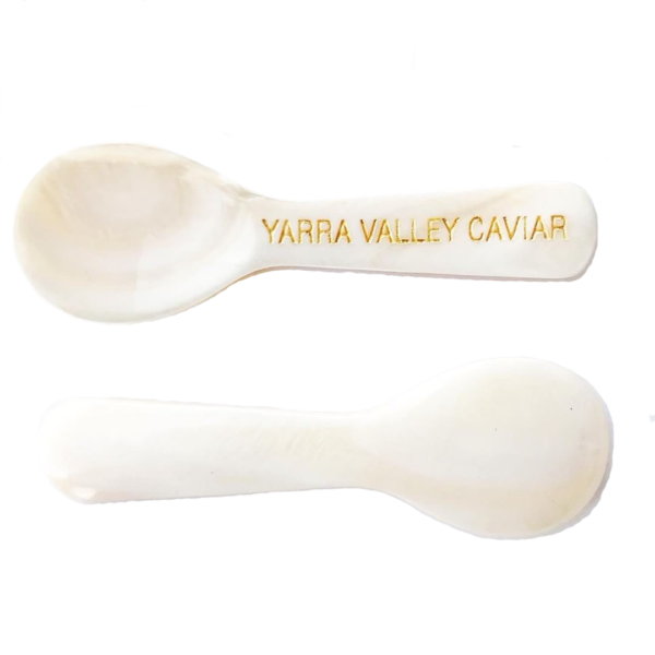 Mother of Pearl Spoon
