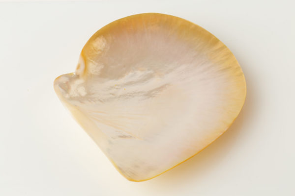 Mother of pearl plates - white shell