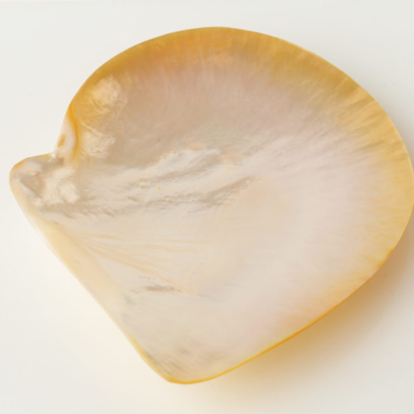Mother of pearl plates - white shell