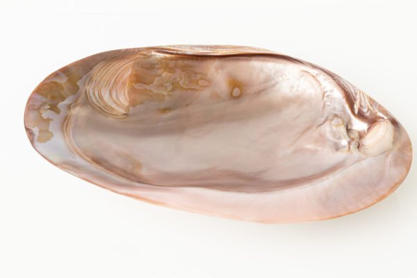 Mother of pearl plates - brown