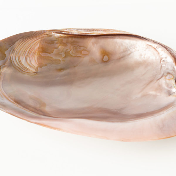 Mother of pearl plates - brown