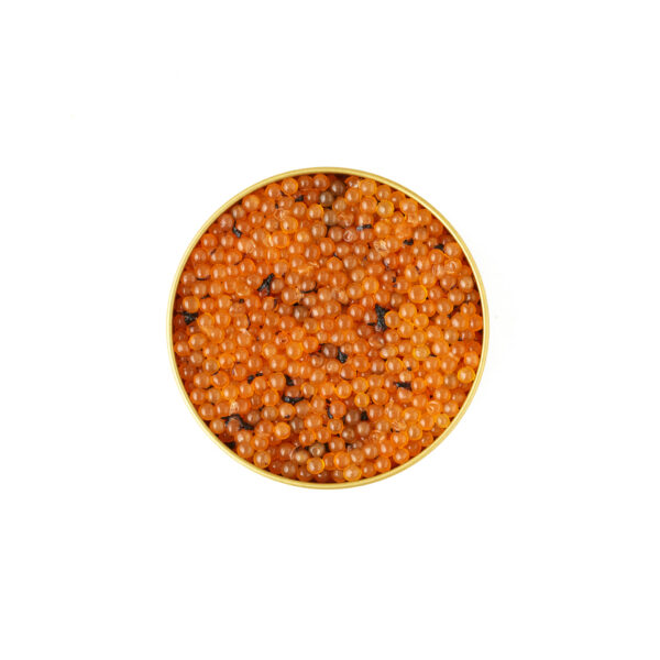 Truffle Infused Brook Trout Pearls - Image 2